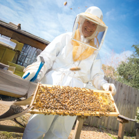 Organic Feed For Bees