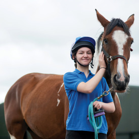 Organic Feed For Horses