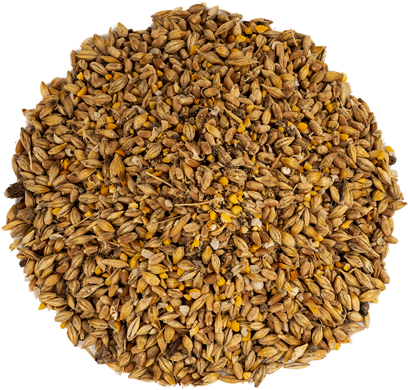 Organic Feeds